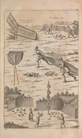 An illustration from The ornithology of Francis Willughby of Middleton in the county of Warwick, esq. ... : in three books : wherein all the birds hitherto known, being reduced into a method sutable [i.e. suitable] to their natures, are accurately described : the descriptions illustrated by most elegant figures, nearly resembling the live birds, engraven in LXXVIII copper plates (1678)