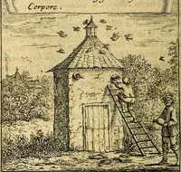 An illustration from Orphevs evcharisticvs. Sive devs absconditvs humanitatis illecebris illustriores mundi partes ad se pertrahens, vltroneas arcanae maiestatis adoratrices (1657)