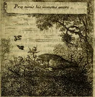 An illustration from Orphevs evcharisticvs. Sive devs absconditvs humanitatis illecebris illustriores mundi partes ad se pertrahens, vltroneas arcanae maiestatis adoratrices (1657)
