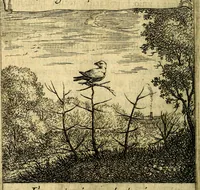 An illustration from Orphevs evcharisticvs. Sive devs absconditvs humanitatis illecebris illustriores mundi partes ad se pertrahens, vltroneas arcanae maiestatis adoratrices (1657)