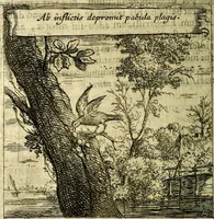 An illustration from Orphevs evcharisticvs. Sive devs absconditvs humanitatis illecebris illustriores mundi partes ad se pertrahens, vltroneas arcanae maiestatis adoratrices (1657)
