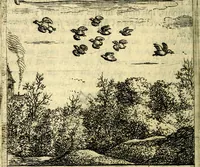 An illustration from Orphevs evcharisticvs. Sive devs absconditvs humanitatis illecebris illustriores mundi partes ad se pertrahens, vltroneas arcanae maiestatis adoratrices (1657)