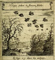 An illustration from Orphevs evcharisticvs. Sive devs absconditvs humanitatis illecebris illustriores mundi partes ad se pertrahens, vltroneas arcanae maiestatis adoratrices (1657)