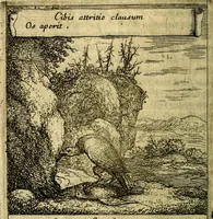 An illustration from Orphevs evcharisticvs. Sive devs absconditvs humanitatis illecebris illustriores mundi partes ad se pertrahens, vltroneas arcanae maiestatis adoratrices (1657)