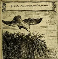 An illustration from Orphevs evcharisticvs. Sive devs absconditvs humanitatis illecebris illustriores mundi partes ad se pertrahens, vltroneas arcanae maiestatis adoratrices (1657)