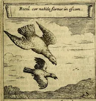An illustration from Orphevs evcharisticvs. Sive devs absconditvs humanitatis illecebris illustriores mundi partes ad se pertrahens, vltroneas arcanae maiestatis adoratrices (1657)