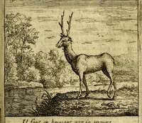 An illustration from Orphevs evcharisticvs. Sive devs absconditvs humanitatis illecebris illustriores mundi partes ad se pertrahens, vltroneas arcanae maiestatis adoratrices (1657)