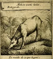 An illustration from Orphevs evcharisticvs. Sive devs absconditvs humanitatis illecebris illustriores mundi partes ad se pertrahens, vltroneas arcanae maiestatis adoratrices (1657)
