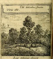 An illustration from Orphevs evcharisticvs. Sive devs absconditvs humanitatis illecebris illustriores mundi partes ad se pertrahens, vltroneas arcanae maiestatis adoratrices (1657)
