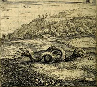 An illustration from Orphevs evcharisticvs. Sive devs absconditvs humanitatis illecebris illustriores mundi partes ad se pertrahens, vltroneas arcanae maiestatis adoratrices (1657)