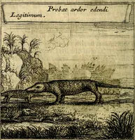 An illustration from Orphevs evcharisticvs. Sive devs absconditvs humanitatis illecebris illustriores mundi partes ad se pertrahens, vltroneas arcanae maiestatis adoratrices (1657)