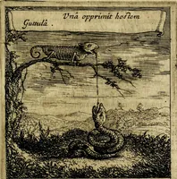 An illustration from Orphevs evcharisticvs. Sive devs absconditvs humanitatis illecebris illustriores mundi partes ad se pertrahens, vltroneas arcanae maiestatis adoratrices (1657)