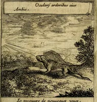 Picture 112 of 140 from Orphevs evcharisticvs. Sive devs absconditvs humanitatis illecebris illustriores mundi partes ad se pertrahens, vltroneas arcanae maiestatis adoratrices (1657), leaf 536