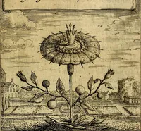 An illustration from Orphevs evcharisticvs. Sive devs absconditvs humanitatis illecebris illustriores mundi partes ad se pertrahens, vltroneas arcanae maiestatis adoratrices (1657)