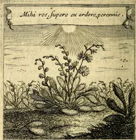 An illustration from Orphevs evcharisticvs. Sive devs absconditvs humanitatis illecebris illustriores mundi partes ad se pertrahens, vltroneas arcanae maiestatis adoratrices (1657)