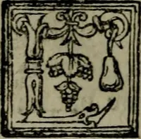 An illustration from Orthodoxa Tigvrinæ Ecclesiæ ministrorum Confessio : illorum et fidem & doctrinam, quam cum Catholica sanctorũ ecclesia communem habent ; continens, in primis autem de Coena Domini Nostri Iesv Christi ; unà cum æqua & modesta responsione ad uanas & offendiculi plenas D. Mart. Lvtheri calumnias, cõdemnationes & conuitia, quæ tum alibi, tum in nouissimo libello suo (quem Breuem de sancto Sacramento Confessionem dixit) potissimum ædita & uulgata sunt (1545)