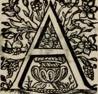 An illustration from Ortus Castoris ratibus propitius, Ratisbonæ è specula pieria Collegii Societatis Jesu in reverendissimo ac serenissimo principe, ac domino ... Joanne Theodoro ... tubo historico-poëtico observatvs, quando sideri fraterno serenissimo Clementi Augusto, in statione episcopatûs Ratisbonensis, successit (1721)