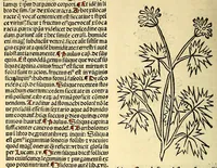 Picture 19 of 42 from Ortus sanitatis, leaf 352