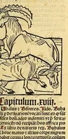 An illustration from Ortus sanitatis