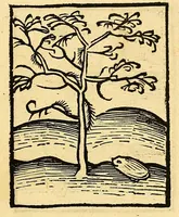 Picture 27 of 42 from Ortus sanitatis, leaf 463