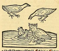 An illustration from Ortus sanitatis