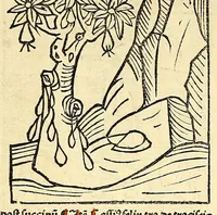 Picture 38 of 42 from Ortus sanitatis, leaf 646