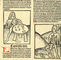 An illustration from Ortus sanitatis