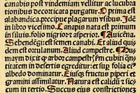 Picture 4 of 42 from Ortus sanitatis, leaf 84