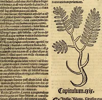 Picture 9 of 63 from Ortus sanitatis, leaf 103