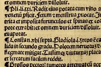 Picture 13 of 63 from Ortus sanitatis, leaf 172
