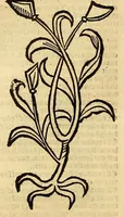 Picture 15 of 63 from Ortus sanitatis, leaf 198