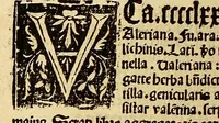 Picture 29 of 63 from Ortus sanitatis, leaf 384