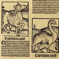 Picture 35 of 63 from Ortus sanitatis, leaf 438