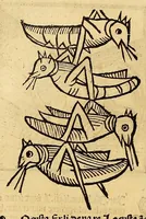 Picture 37 of 63 from Ortus sanitatis, leaf 470