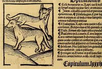 An illustration from Ortus sanitatis