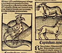 Picture 39 of 63 from Ortus sanitatis, leaf 486
