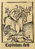 Picture 41 of 63 from Ortus sanitatis, leaf 502