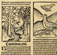 Picture 43 of 63 from Ortus sanitatis, leaf 510