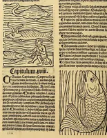 Picture 46 of 63 from Ortus sanitatis, leaf 566