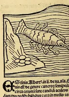 Picture 47 of 63 from Ortus sanitatis, leaf 574