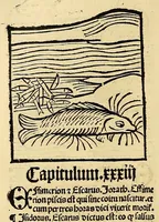 Picture 48 of 63 from Ortus sanitatis, leaf 574