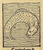 Picture 49 of 63 from Ortus sanitatis, leaf 582