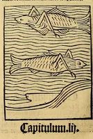 Picture 50 of 63 from Ortus sanitatis, leaf 582