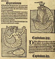 Picture 51 of 63 from Ortus sanitatis, leaf 590