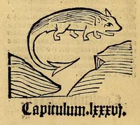 Picture 53 of 63 from Ortus sanitatis, leaf 598