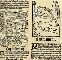 Picture 54 of 63 from Ortus sanitatis, leaf 605