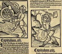 Picture 55 of 63 from Ortus sanitatis, leaf 613