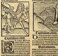 Picture 59 of 63 from Ortus sanitatis, leaf 630