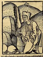 Picture 62 of 63 from Ortus sanitatis, leaf 654
