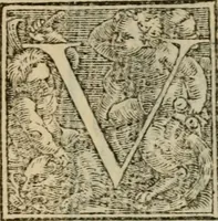 Picture 2 of 195 from Orvs Apollo de Ægypte De la signification des notes hieroglyphiques des Aegyptiens : cest a dire des figures par les quelles ilz escripuoient leurs mysteres secretz, & les choses sainctes & diuines (1543), leaf 10